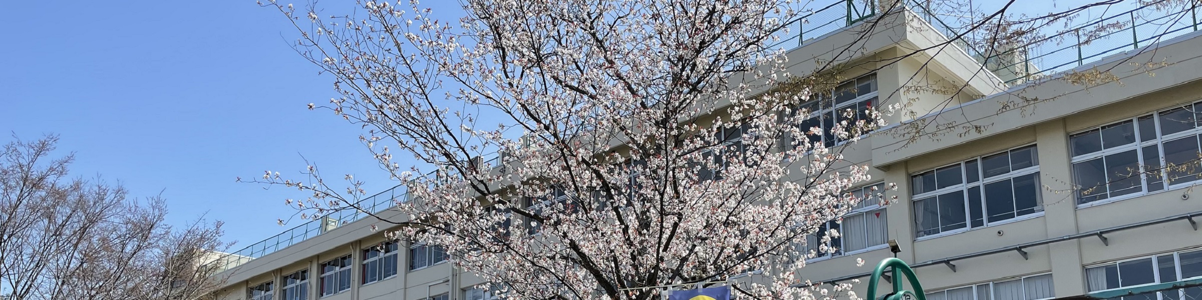 仙台市立幸町中学校HP